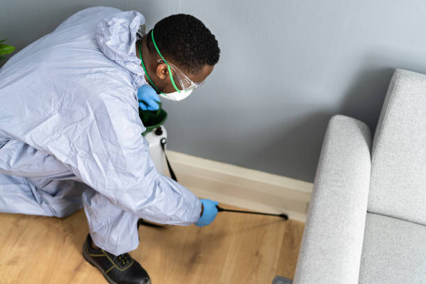 Best Pest Exclusion Services  in Solvay, NY